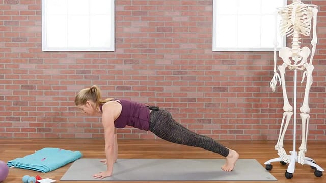 Yoga Tune Up Plank-yi