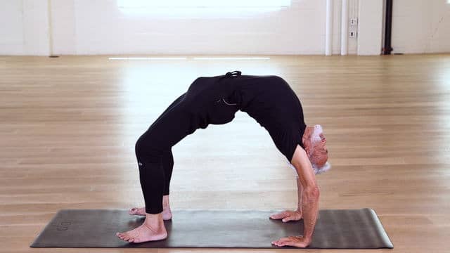 059. Essential Yoga Poses-09. Charging Scorpion and Wheel Poses