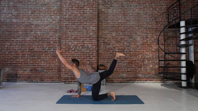 239. Yoga Strength Basics For Beginners-10. Day 08 - Back Body Strength