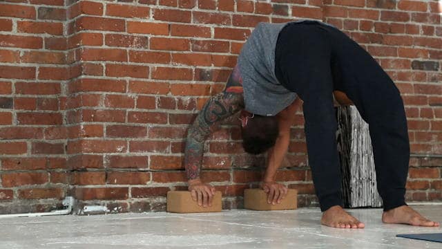 239. Yoga Strength Basics For Beginners-15. Day 13 - Back Body Opening