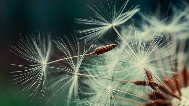 507. Establish Divine Connection Through Seven Limb Prayer