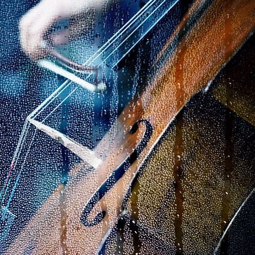0832. Cello In the Rain