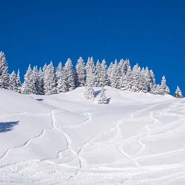 0959. Cross Country Ski Trip