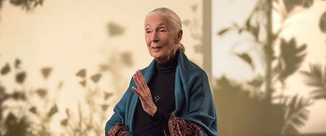 2788. Science - Dr. Jane Goodall - Conservation - 00. Trailer